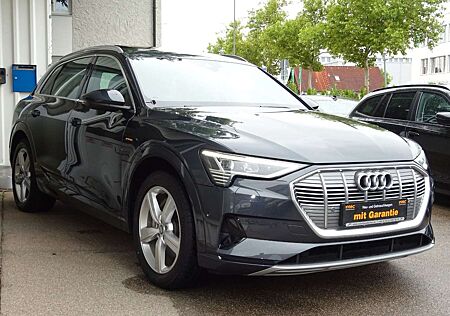 Audi e-tron 55 quattro S line Navi Leder LED Kamera