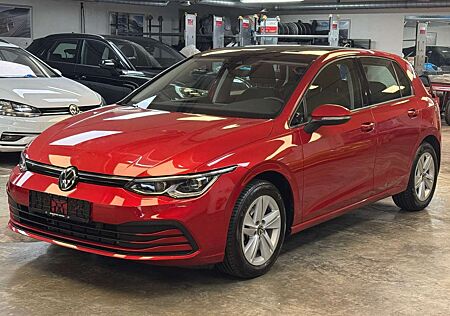 VW Golf Volkswagen VIII Lim. Life,IQLight,Panorama,Navi,Assist