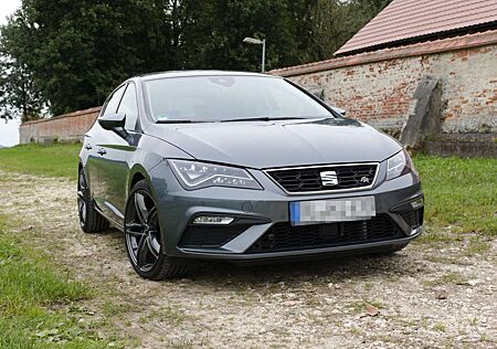 Seat Leon 1.8 TSI 132kW FR DSG *Standheizung*