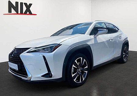 Lexus UX 250h Hybrid Style Edition KAMERA LED