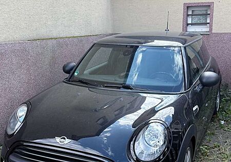 Mini ONE Blackyard