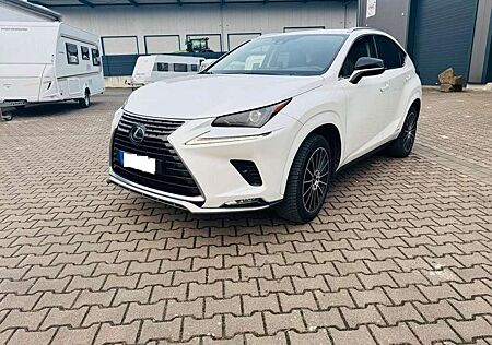 Lexus NX 300 NX 300h Style Hybrid