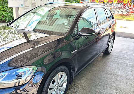 VW Golf Variant Volkswagen 1.4 TGI HYBRID Benzin/ Naturalgas