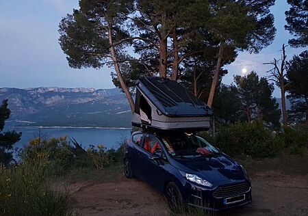 Ford Fiesta Courier