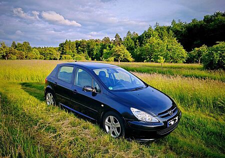 Peugeot 307 110 Sport