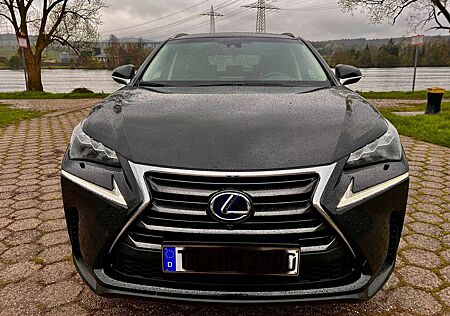 Lexus NX 300h E-FOUR Luxury Line