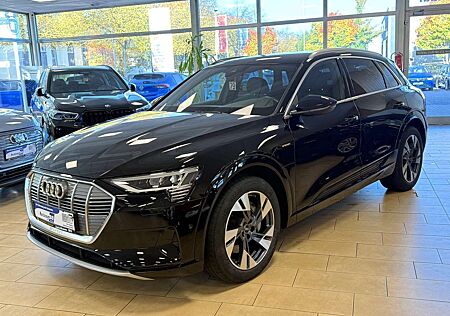 Audi e-tron 50*quattro*S-line*Teilleder*Rcam*Navi*SHZ