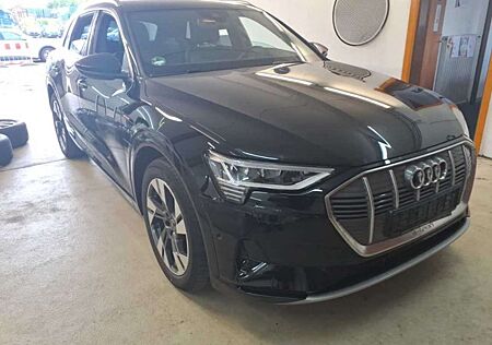 Audi e-tron 50*quattro*S-line*Teilleder*Rcam*Navi*SHZ