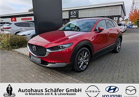 Mazda CX-30 Selection HUD SHZ Temp Navi LenkradHZG Bose 360 Ka