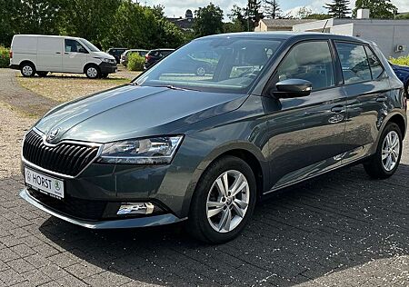 Skoda Fabia Ambition Rückfahrkamera Klimaautomatik PDC