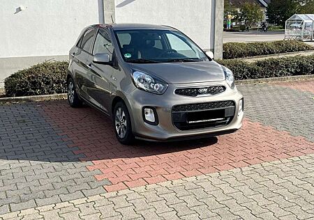 Kia Picanto gebraucht kaufen Kia Picanto 1.0