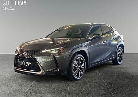 Lexus UX 250h Hybrid Style Edition *CARPLAY*