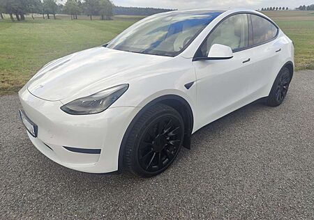 Tesla Model Y Long Range RWD, weiß/ weiß, AHK, 20 Zoll