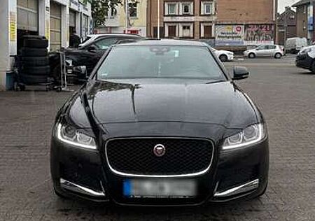 Jaguar XF E-Performance R-Sport