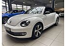 VW Beetle Volkswagen Cabriolet Club High-Line DSG Navi