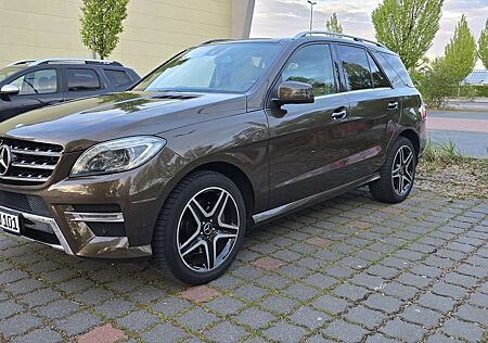 Mercedes-Benz ML 250 CDI BlueTec (166.004)