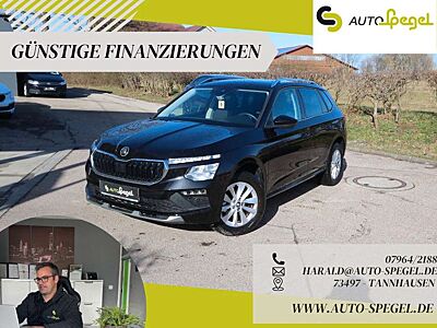 Skoda Kamiq Selection LED Kamera Carplay DAB BT