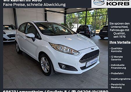 Ford Fiesta 1.0 EcoBoost Celebration, Zahnriemen NEU, Garantie