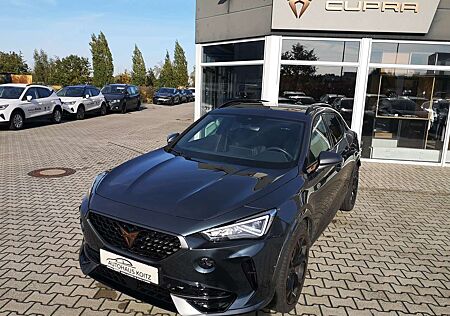 Cupra Formentor VZ 2.0TSI DSG 4Drive Leder AHK Schiebedach Beatsau