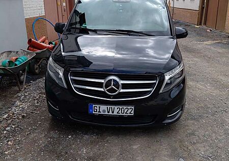 Mercedes-Benz V 250 gebraucht kaufen Mercedes-Benz V 250 (BlueTEC) d extralang 4Matic 7G-TRONIC Avantgarde