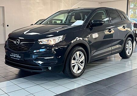 Opel Grandland X 1.2 Turbo CAM/APP CONNECT/SHZ/