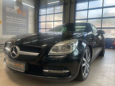 Mercedes-Benz SLK 200 /ROADSTAR/SPORTP/LEDER/KLIMA/SHZ/18"