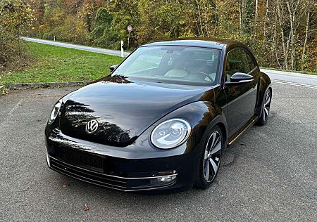 VW Beetle Volkswagen The Diesel The 1.6 TDI DPF CUP