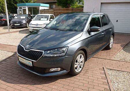 Skoda Fabia LED/RFK/2xPDC/Apple Carplay