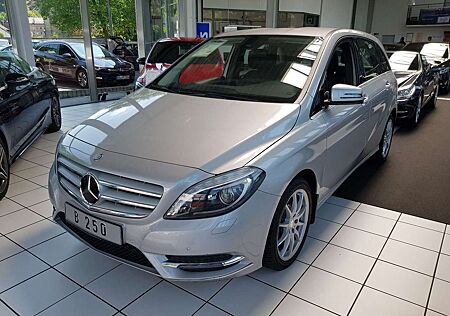 Mercedes-Benz B 250 EXKLUSIV KAMERA LEDER AUT NAVI PTS XENON