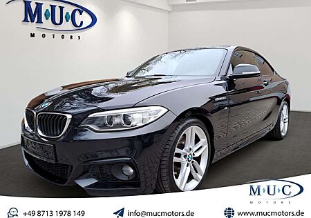 BMW 220 2 Coupe i~M Sport~BiXen~Schiebedach