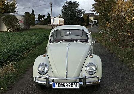 VW Käfer Volkswagen 1966 im Originalzustand mit charmanter Al
