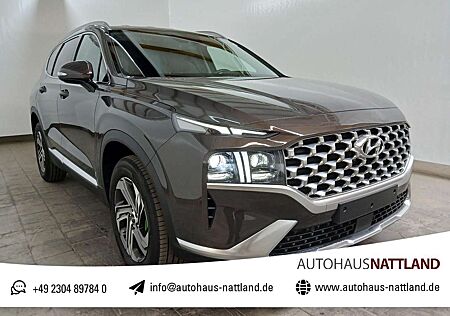 Hyundai Santa Fe 2.2 CRDi Trend RFK Navi LED