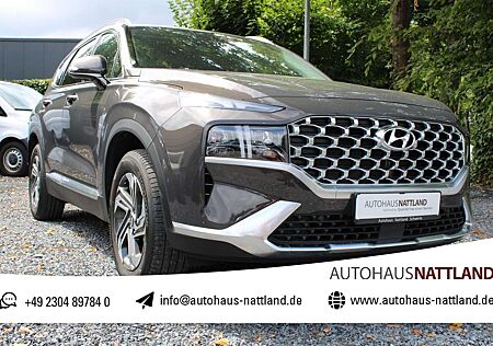 Hyundai Santa Fe 2.2 CRDi Trend RFK Navi LED