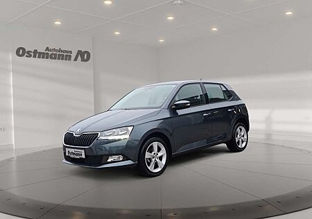 Skoda Fabia 1.0 MPI Cool Plus PDC SHZ KLIMA