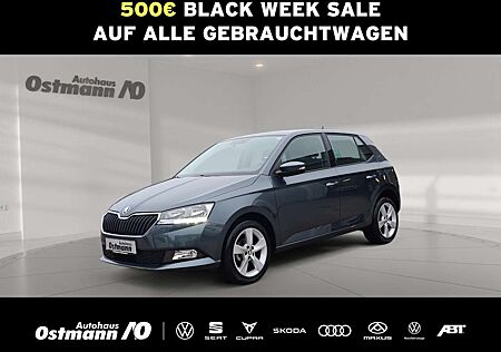 Skoda Fabia 1.0 MPI Cool Plus PDC SHZ KLIMA