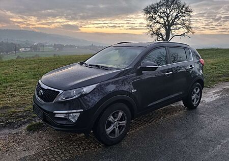Kia Sportage 1.6 GDI ISG Dream-Team Edition SHZ Hinten