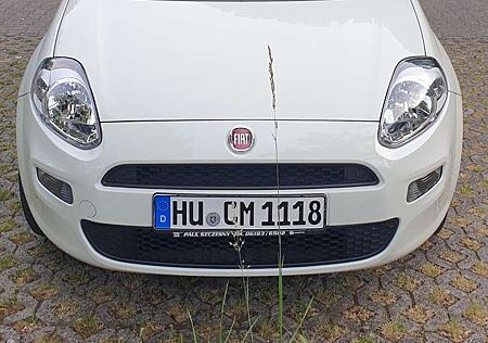 Fiat Punto Basis