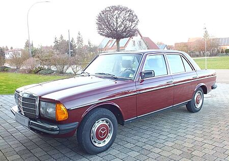Mercedes-Benz 230 E W123 - DE Auto - lückenlose Historie