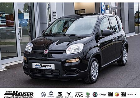 Fiat Panda Hybrid 1.0 GSE NEUES MODELL 2024 CITY TEMPOMAT PDC