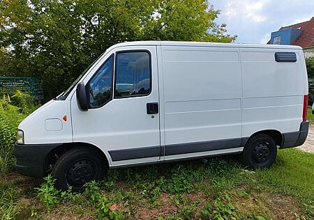 Fiat Ducato Mit gemütlichem Campingausbau