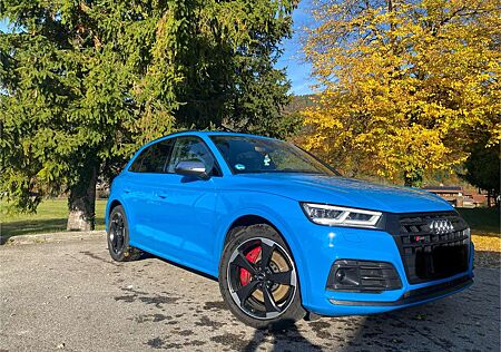 Audi SQ5 gebraucht kaufen Audi SQ5 TDI quattro tiptronic