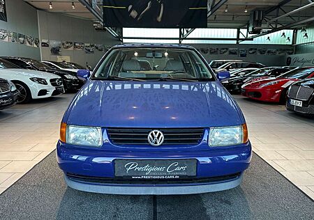 VW Polo Volkswagen 1.0l TÜV + ÖL NEU BEI ÜBERGABE 8FACH AIRBAG