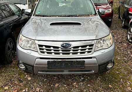 Subaru Forester Edition