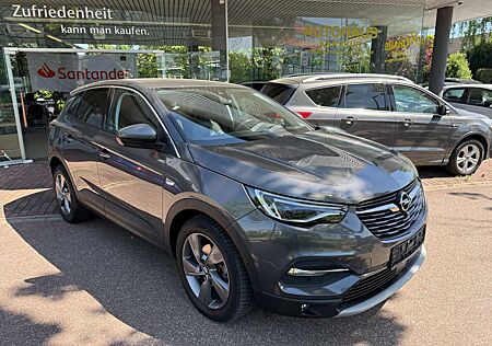 Opel Grandland X Aut. Business Elegance Leder/360°/LED/Memory