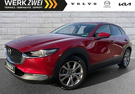 Mazda CX-30 G150 Selection AT ACC 360° HUD BLIS Navi