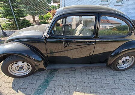 VW Käfer Volkswagen