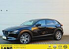 Mazda CX-30 2.0 SKYACTIV-G M Hybrid 150 EU6d Selection 2WD DES