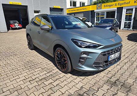 Cupra Terramar 2.0TSI VZ 4WD,AHK,Pano,360°