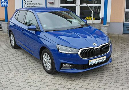 Skoda Fabia Active, SHZ, AHK