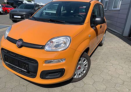 Fiat Panda Easy